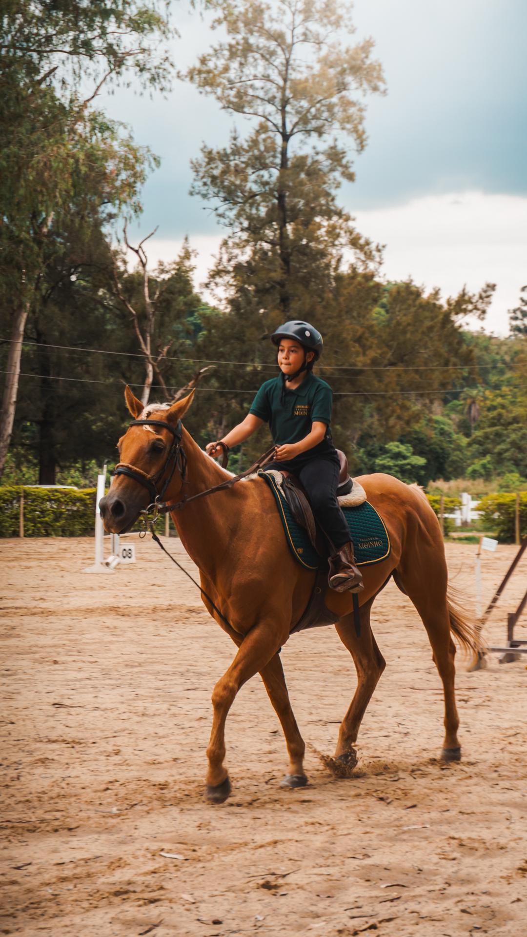 Foto do evento - DSC03970.jpg