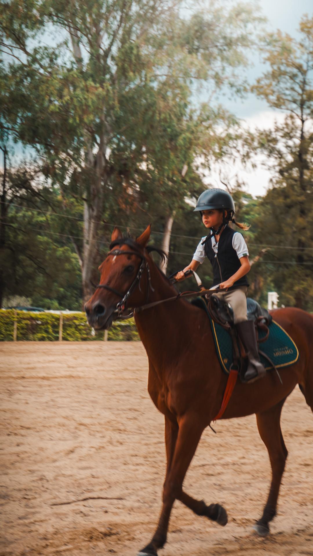 Foto do evento - DSC03990.jpg