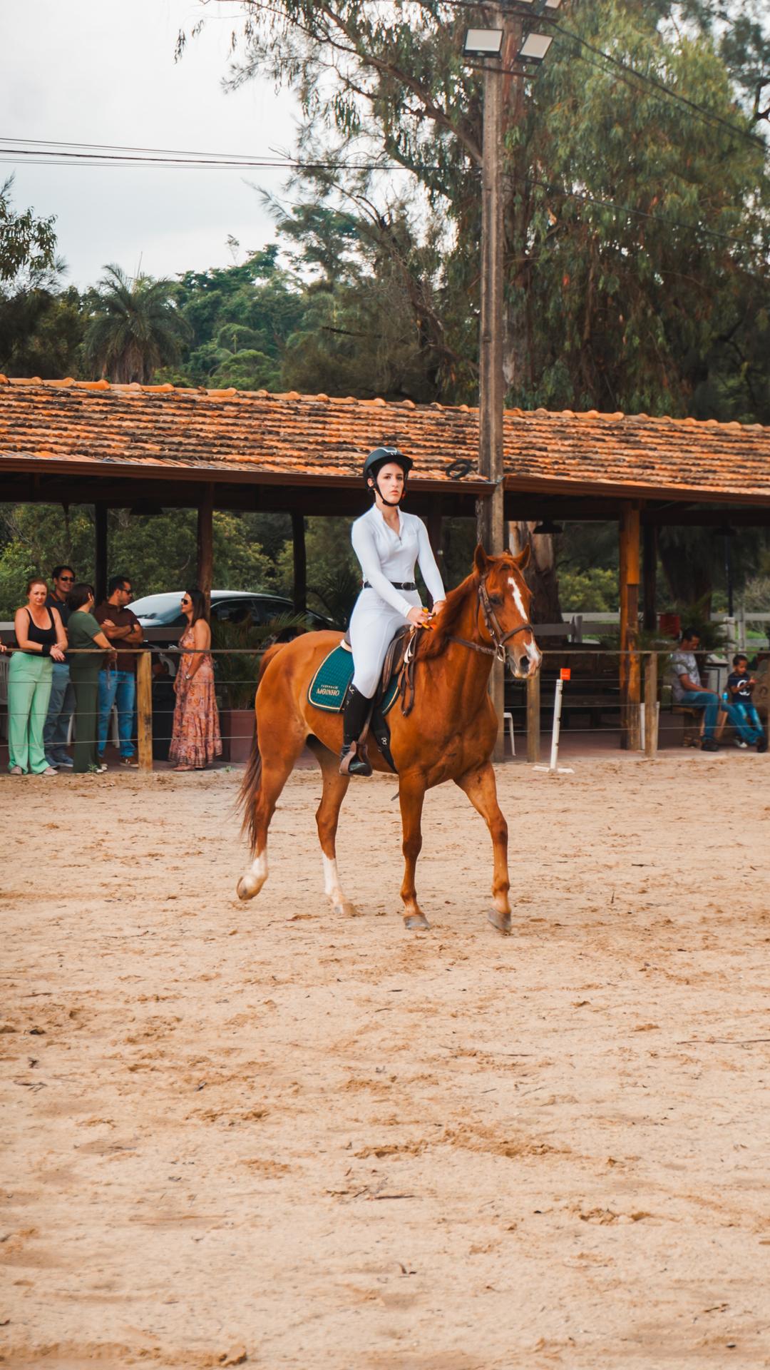 Foto do evento - DSC04048.jpg