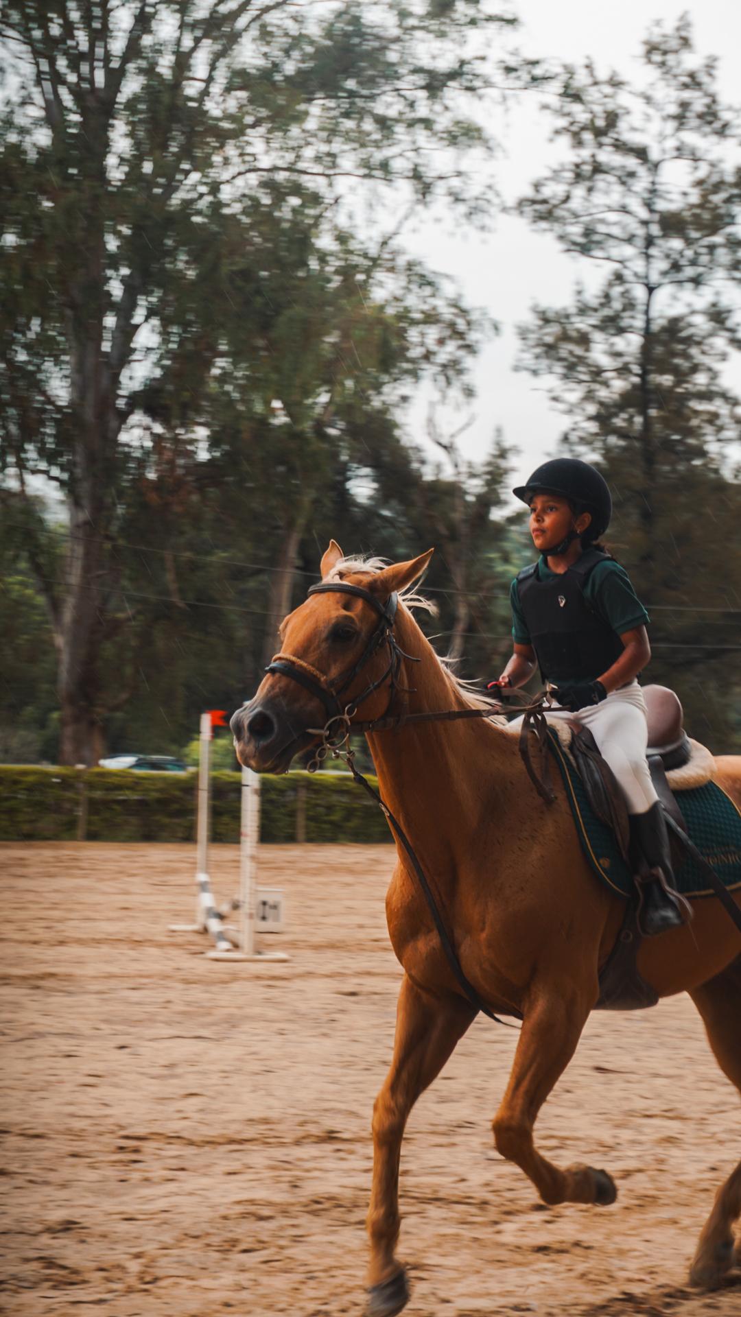 Foto do evento - DSC04085.jpg