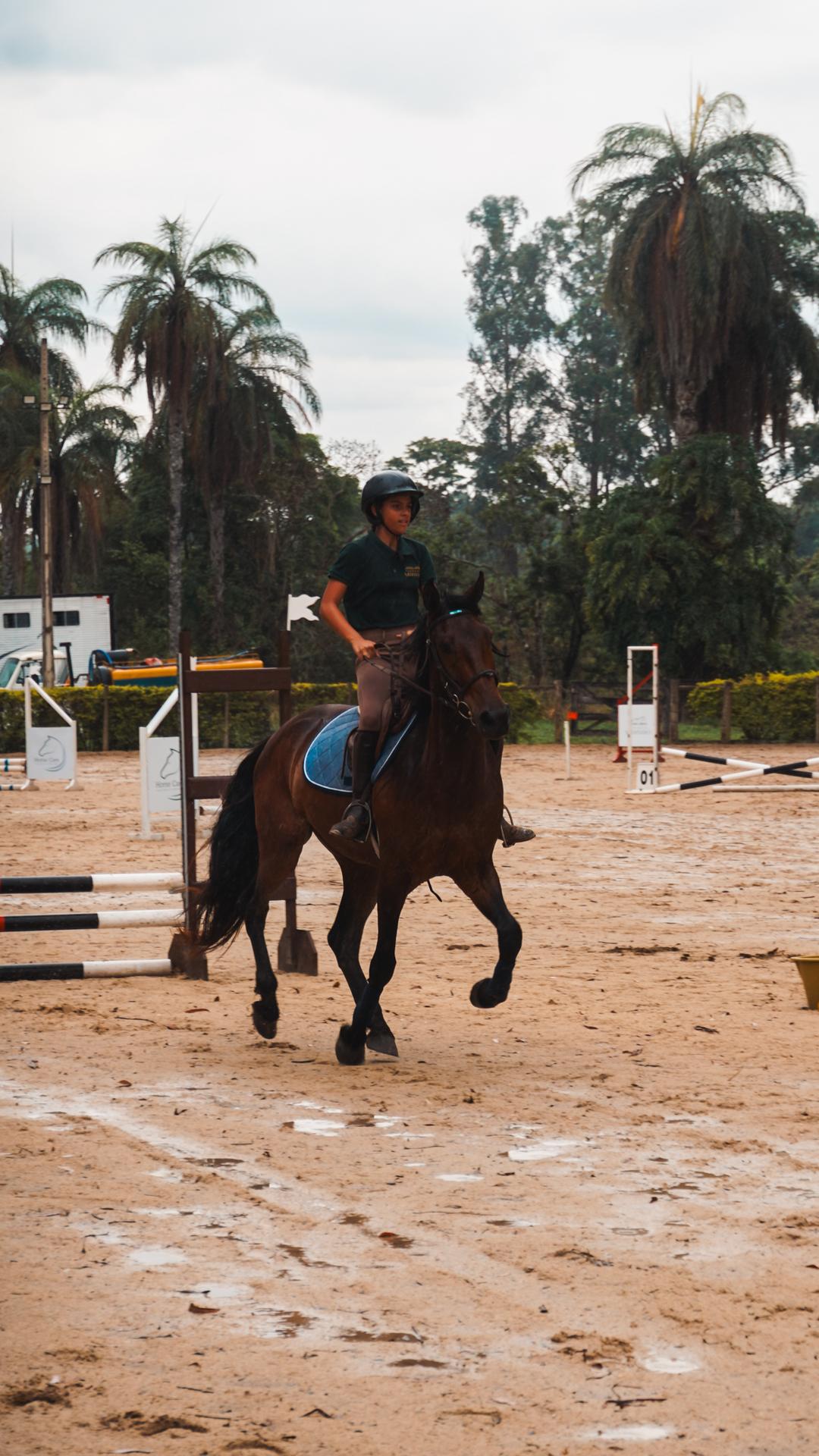 Foto do evento - DSC04099.jpg