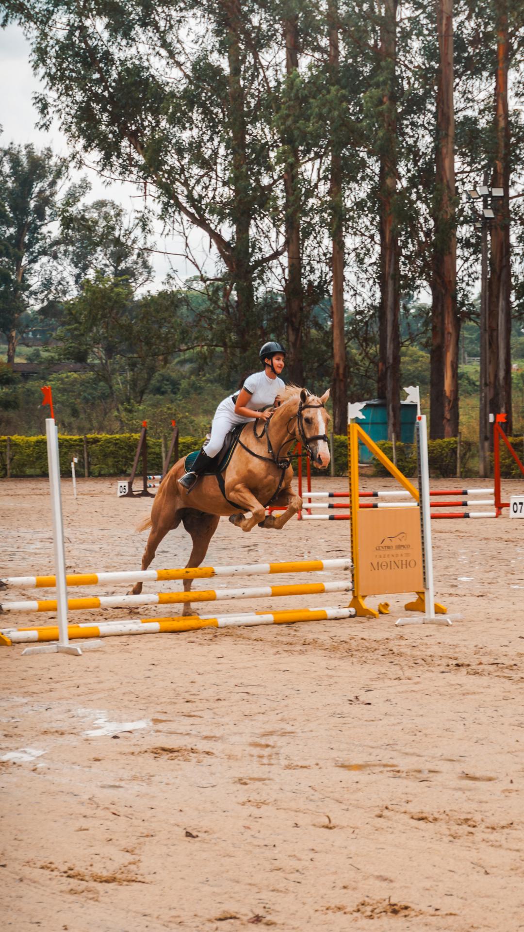 Foto do evento - DSC04124.jpg