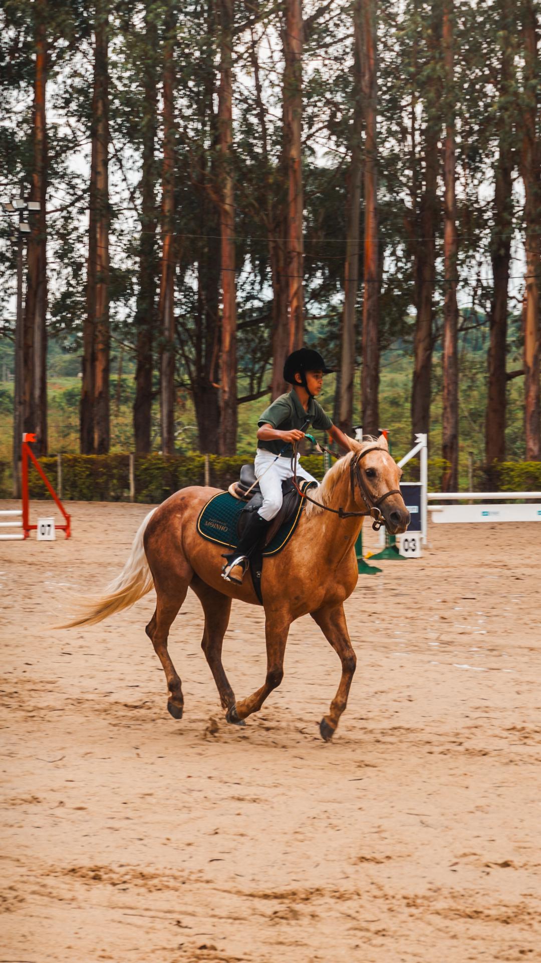 Foto do evento - DSC04144.jpg