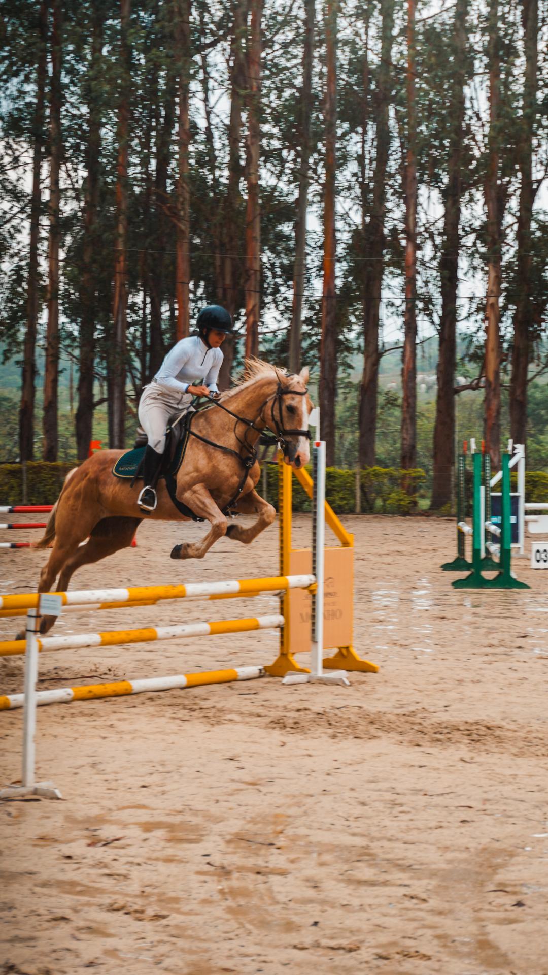 Foto do evento - DSC04250.jpg