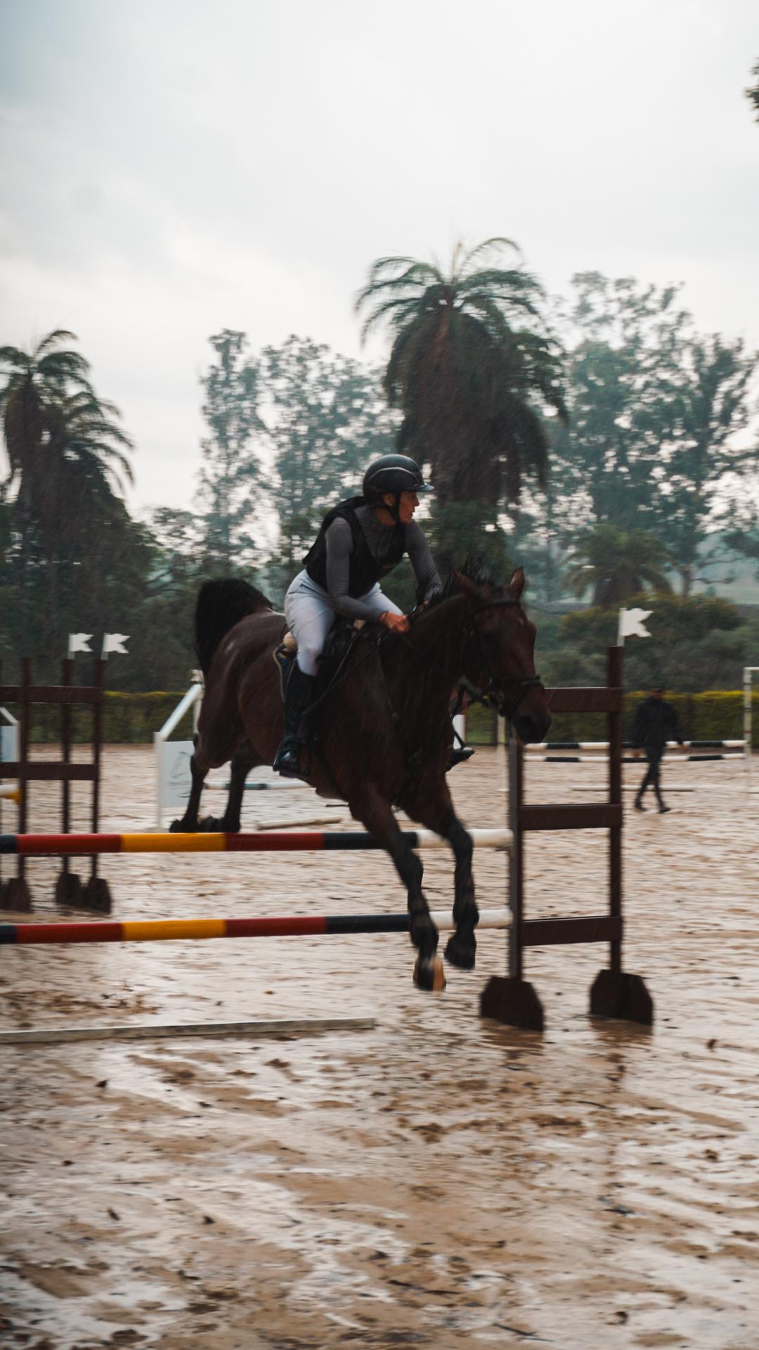 Foto do evento - DSC04317.jpg