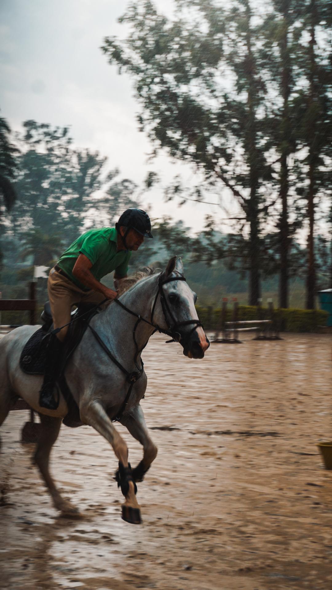 Foto do evento - DSC04341.jpg
