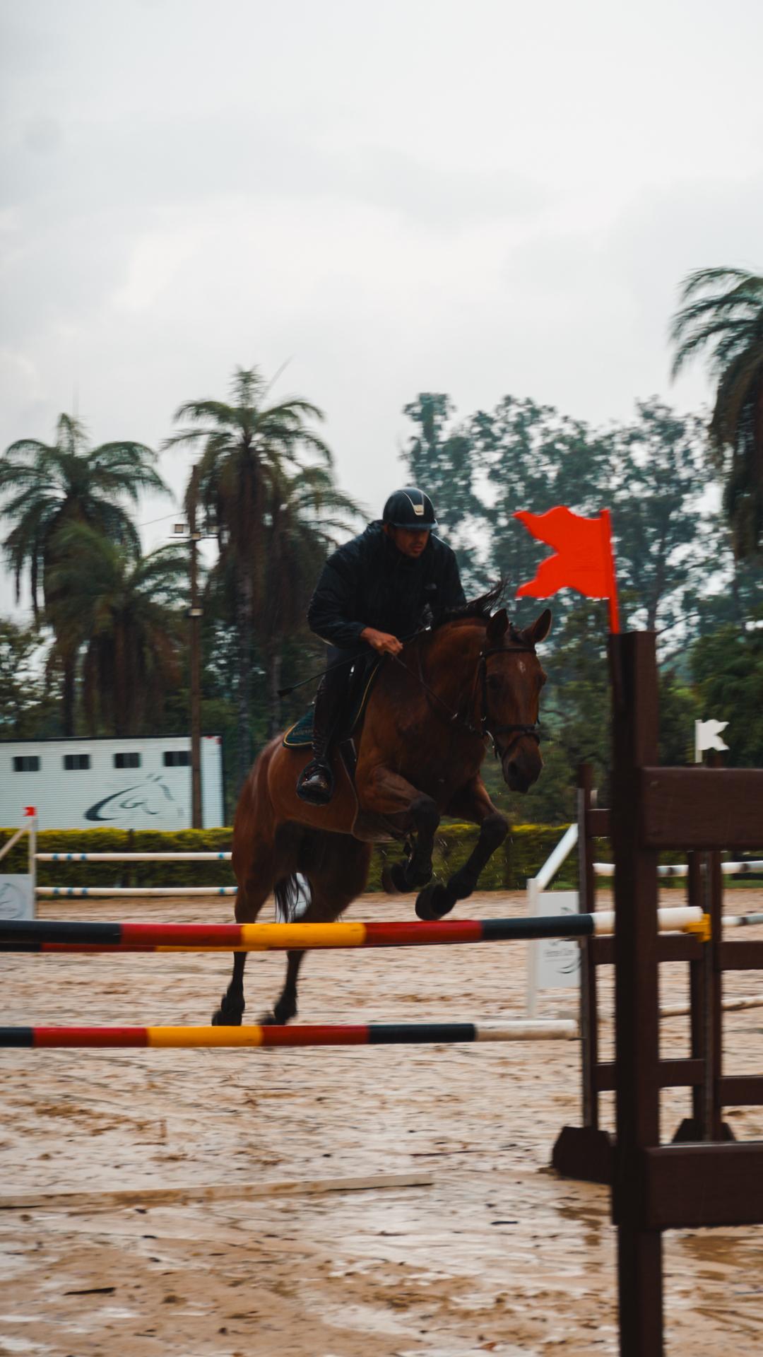 Foto do evento - DSC04374.jpg